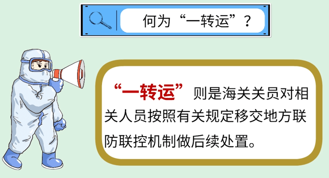 疫情最新口岸出入境流程详解，初学者与进阶用户指南