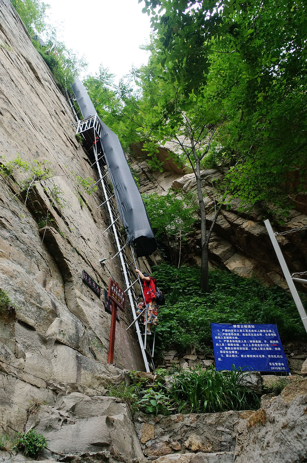 最新后峡