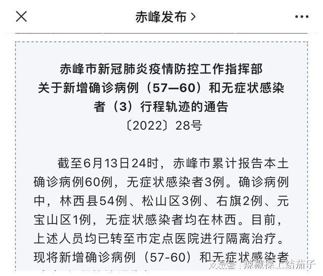 赤峰最新病例深度分析与观点阐述