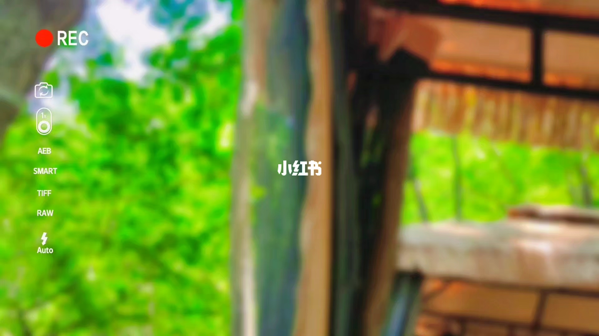 探索自然美景的治愈之旅，浮生半日闲与偷窥最新91的奇妙结合