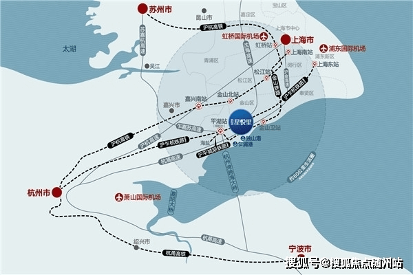 最新王码五深度解析与观点阐述