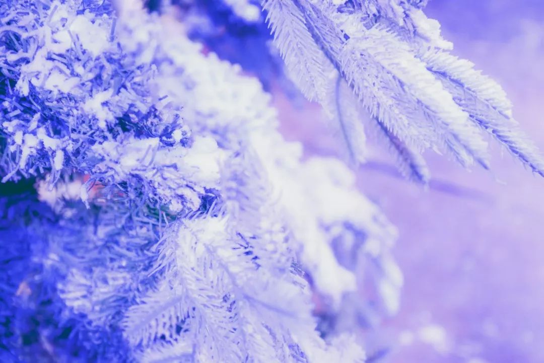 冰最新章，冰雪之旅，寻找内心平静之旅