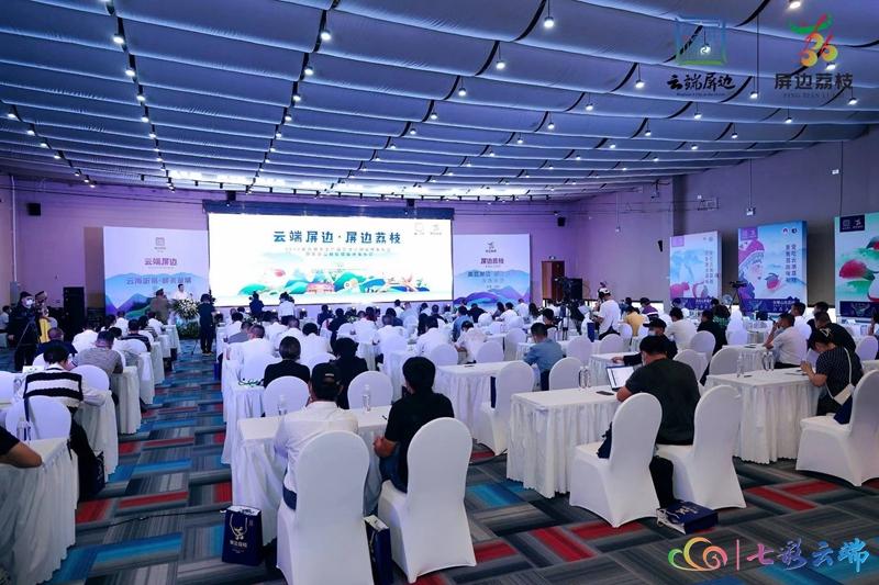 展示与介绍