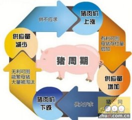 地位分析