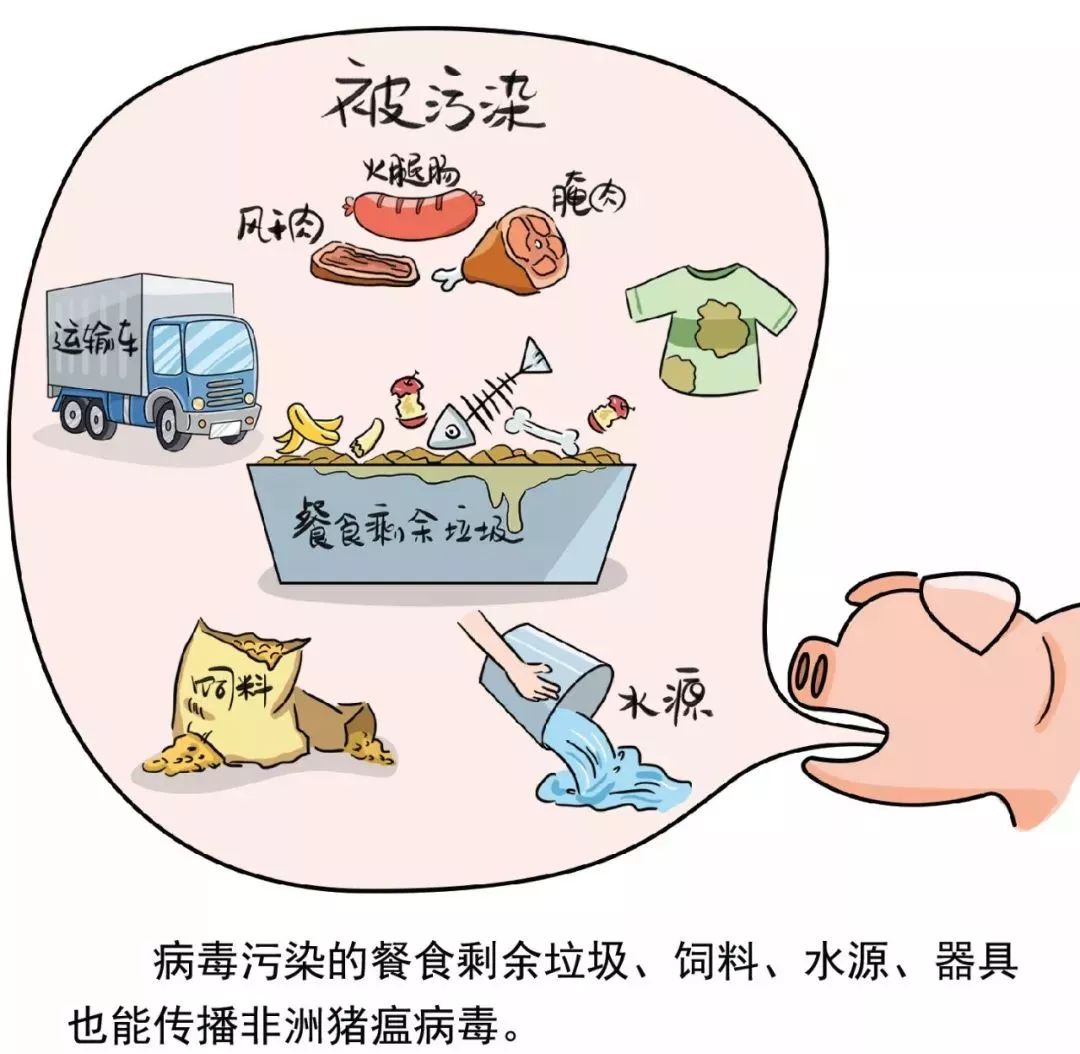 最新疫情更新