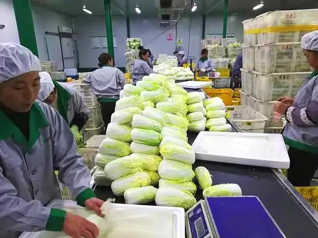 泸西干部
