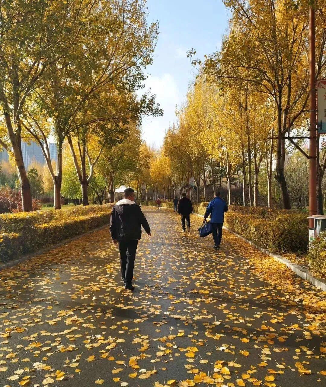 自然之旅与内心平静的双重体验