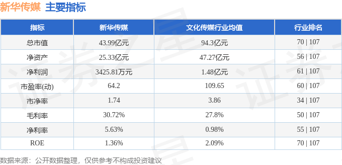 新华传媒股票最新动态，深度分析与观点阐述