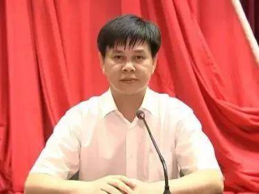 资讯体验革新/科技重塑生活