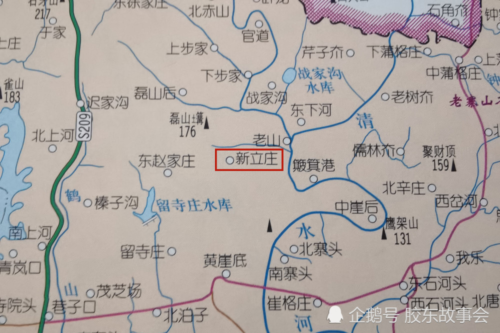 莱阳政务动态更新