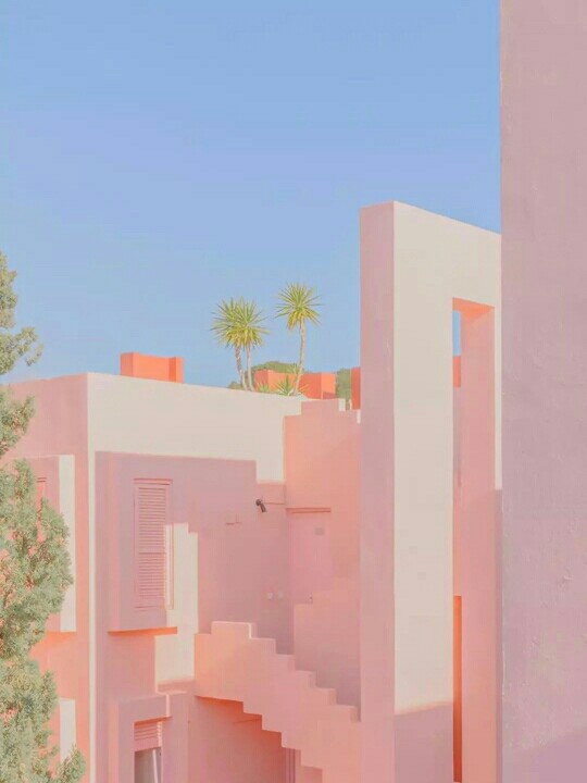 壁纸世界探索
