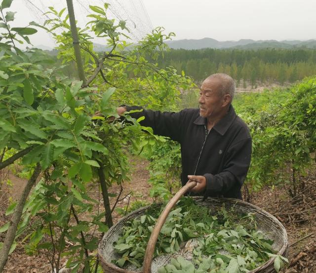 科技引领重塑飞行体验