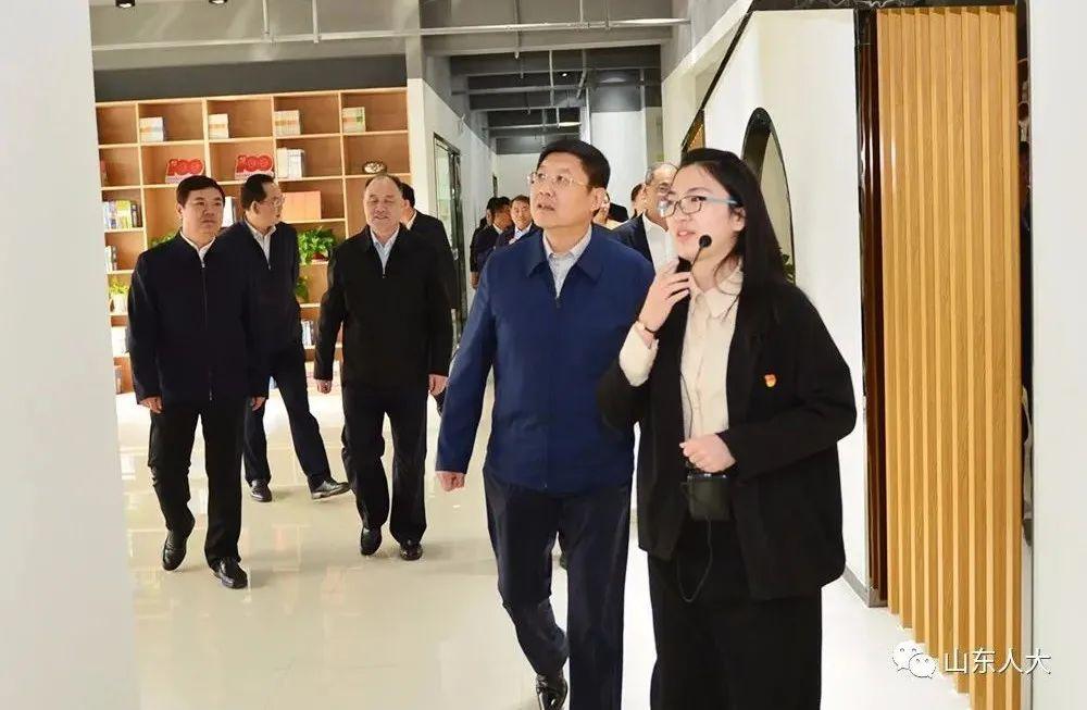 温馨日常观察与解读