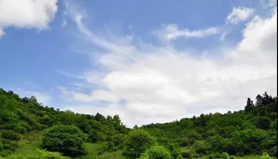 自然之旅的音乐之旅