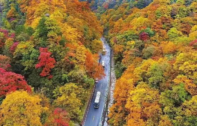 光雾山景区门票价格，自然美景探险之旅，探寻内心平和宁静的胜地