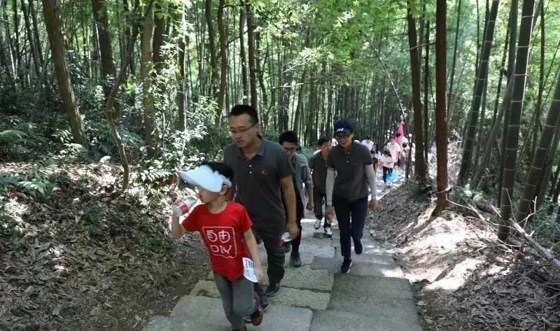 三力士股票动态解析，洞悉市场趋势，展望未来走向