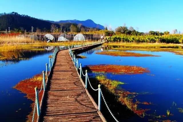 辛集湿地公园