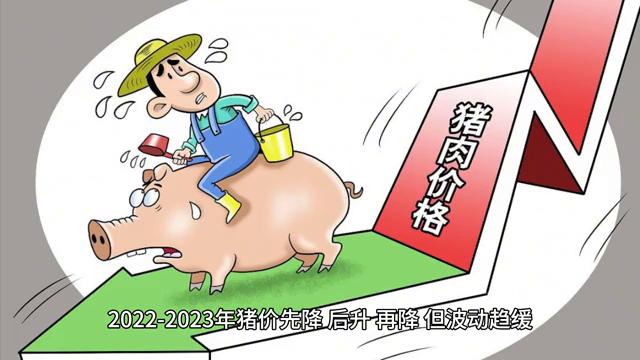 影响探讨