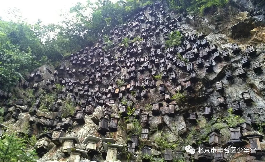 郭永章最新动态揭秘，探索自然美景之旅，寻找内心宁静之旅。