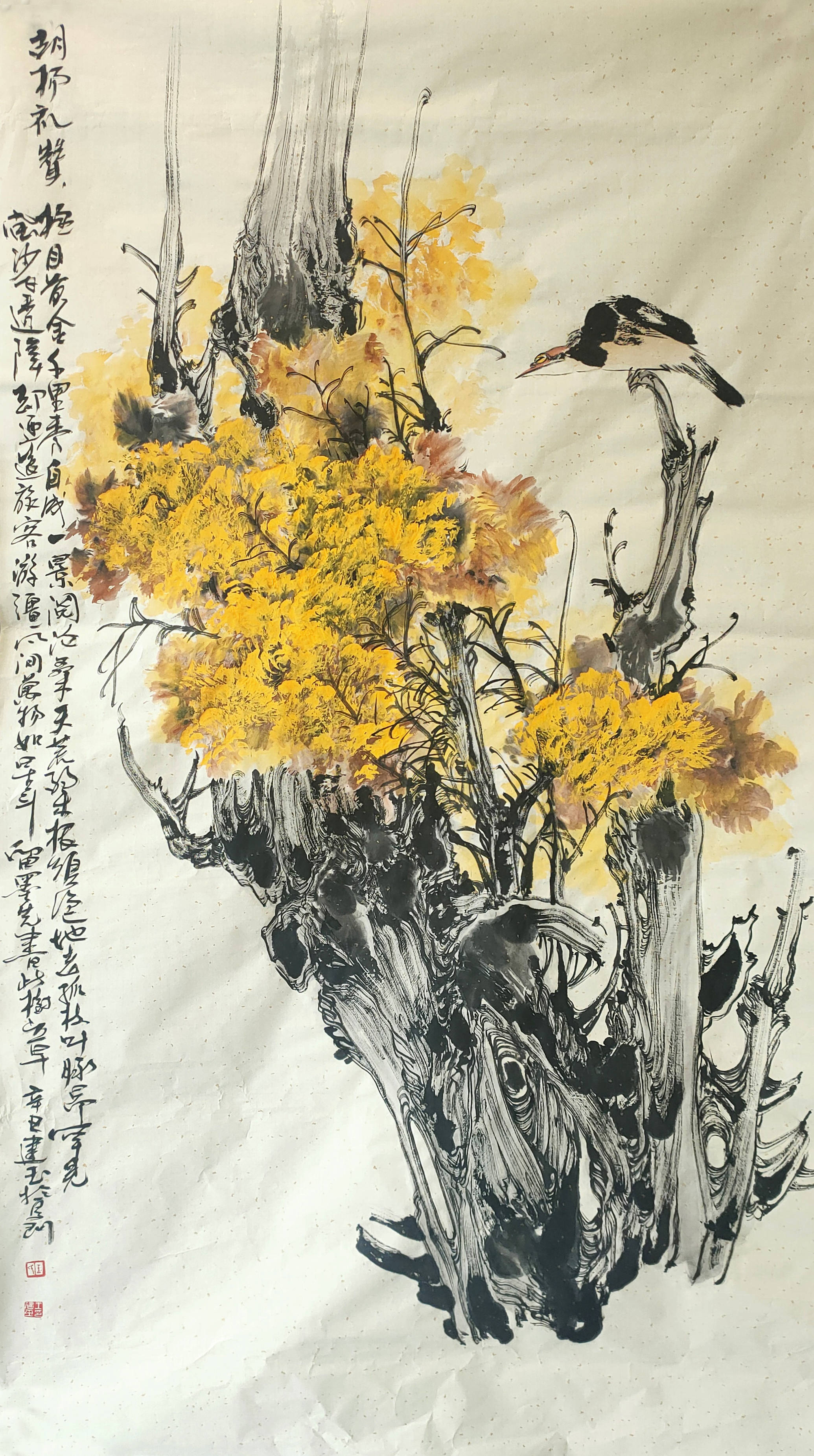 美发技巧与流行趋势解析
