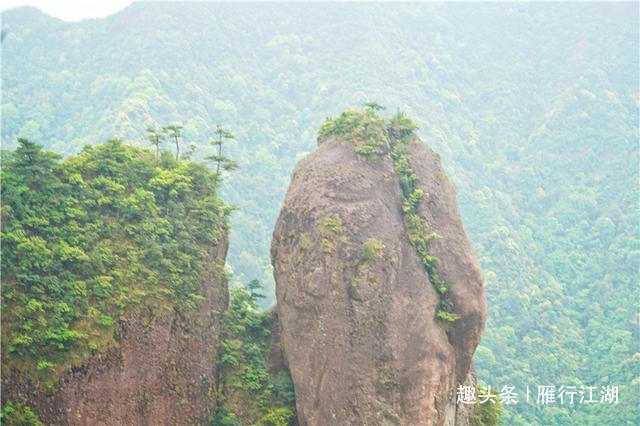 最新冠中冠资讯，探索自然美景的旅行，寻找内心平和之地