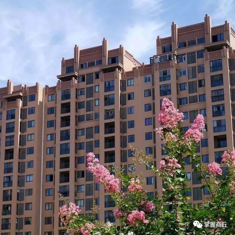 时代印记与地位彰显（或可简化为“时代印记”）