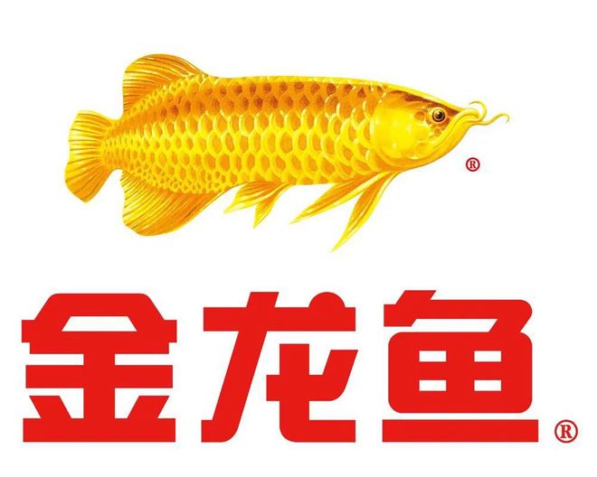 金龙鱼价格行情解析