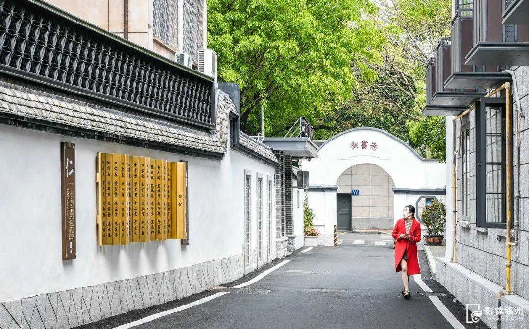 电脑最新行情揭秘，小巷中的科技宝藏大发现