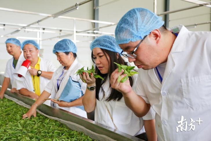 购房奇遇与家的温馨纽带