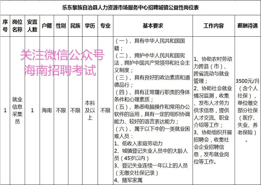 乐东最新招聘,乐东最新招聘——职业发展的理想选择