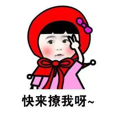 太仓浮桥招聘