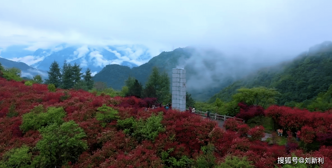 仪陇最新干部任免背后的自然美景探索之旅