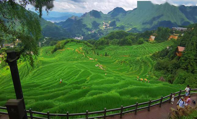国元点金，自然美景的治愈之旅探索报告