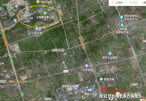 水果新品种