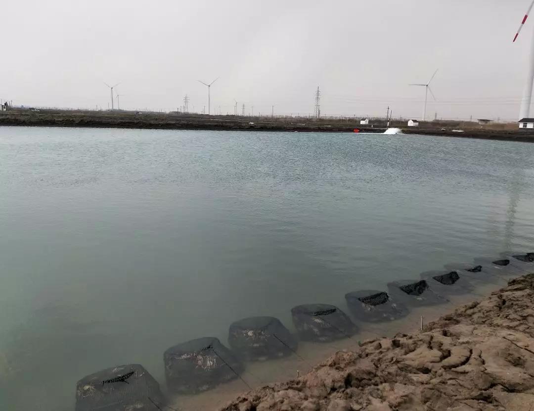 行情分析概述