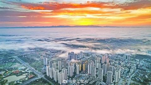 最新新闻多元视角解读