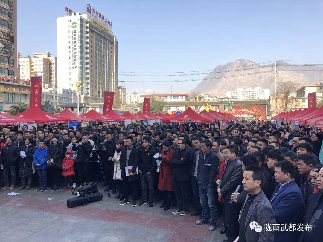 武都最新招聘信息