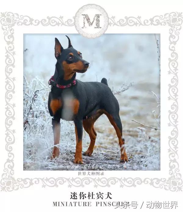 科技盛宴