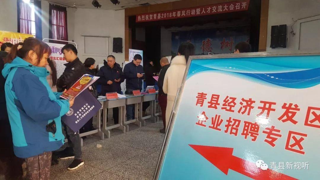 青县最新招聘信息全面概览