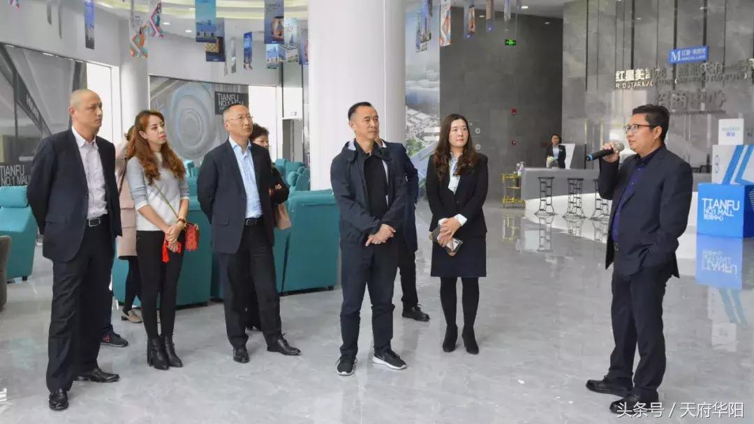 蓝润isc最新价格解析，洞悉市场走势