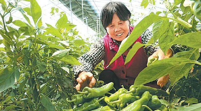 时代快车最新动态