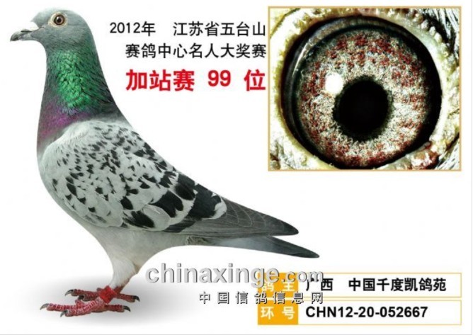 多方观点与影响透视