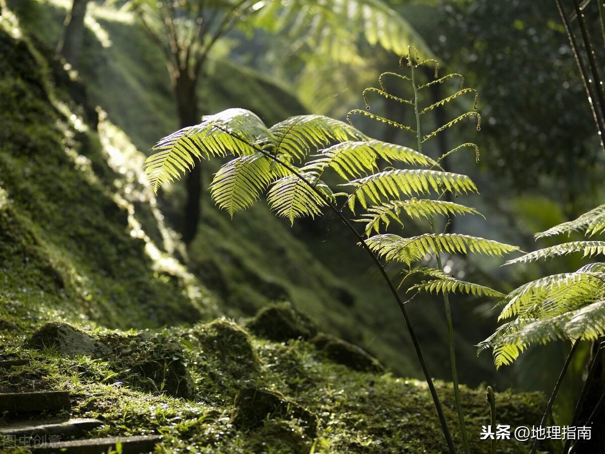 探索自然美景与追寻内心宁静之旅
