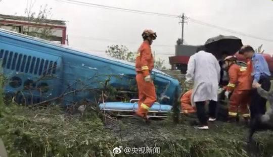 个人发展视角与行业分析探讨
