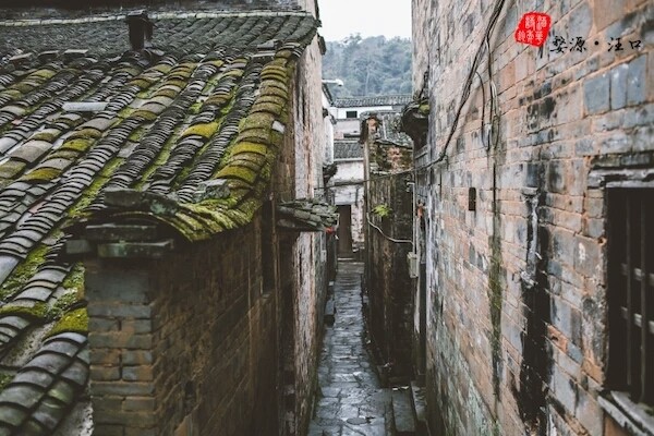 小巷深处的独特风味探索之旅