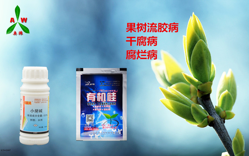 绿果网最新价格