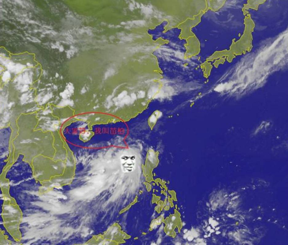 深圳台风苗柏最新动态，温馨日常受关注