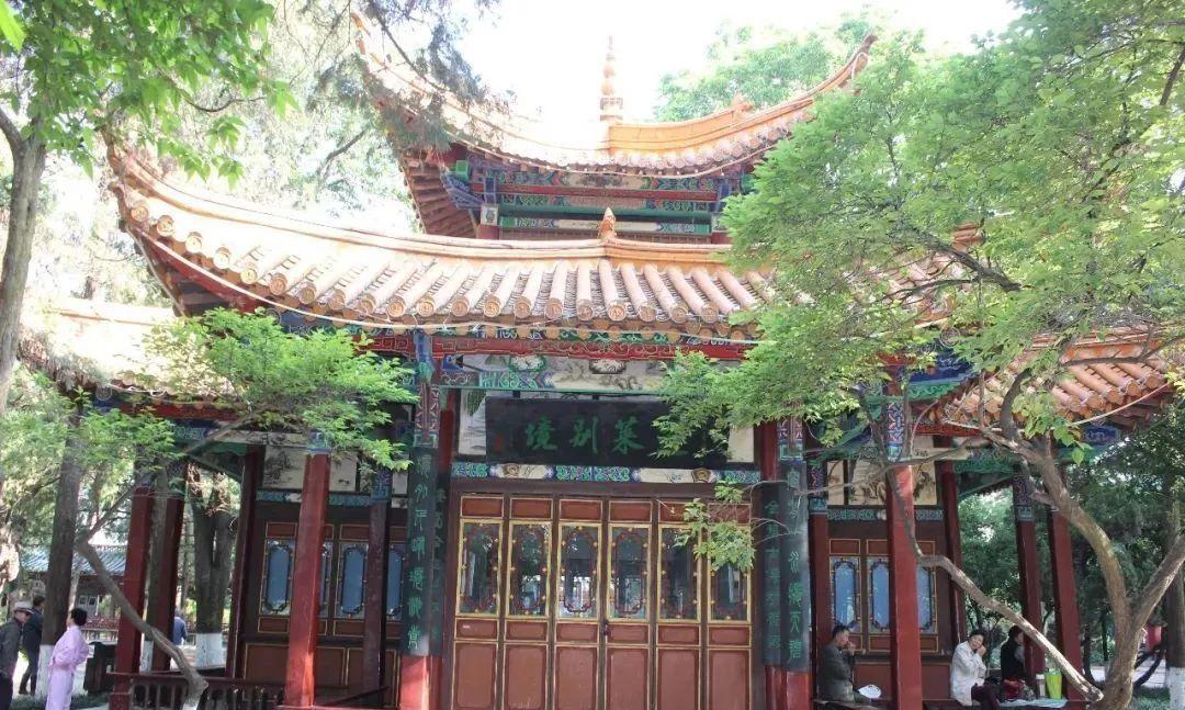最新网络红歌曲与探索自然美景之旅，追寻内心的平和旋律