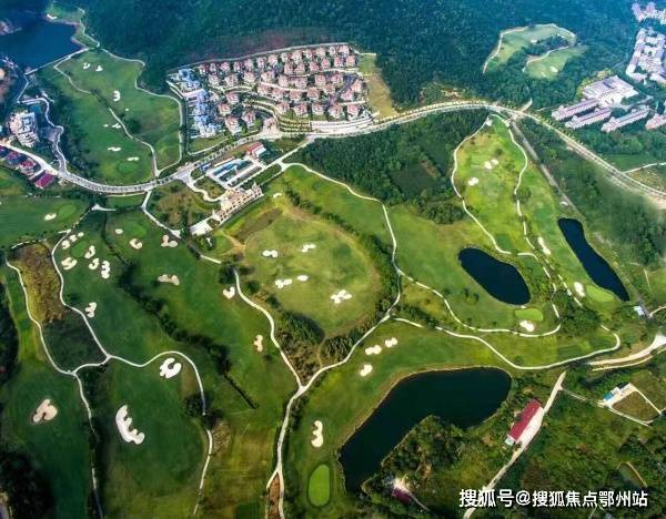 东北貉皮最新价格