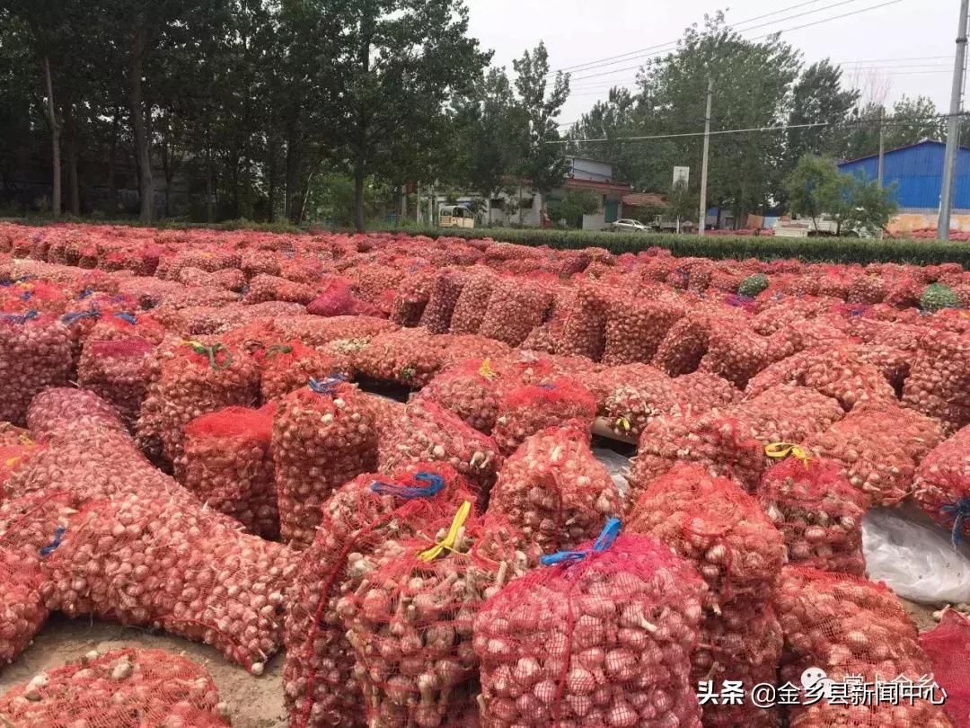 鲜味探索